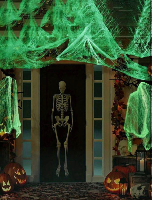 Glow In The Dark Spider Web