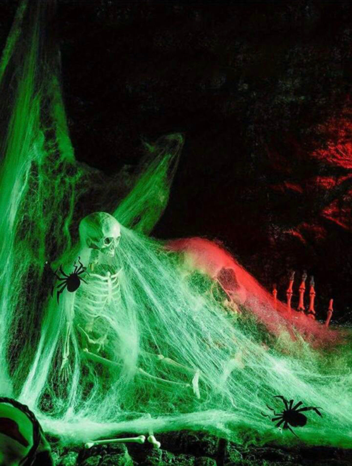 Glow In The Dark Spider Web