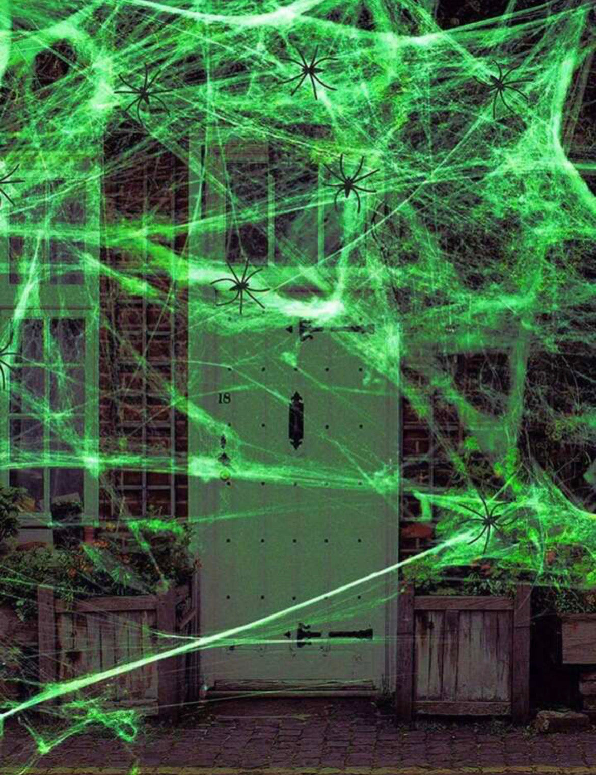 Glow In The Dark Spider Web
